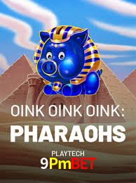 A Experiência Imersiva dos Cassinos Ao Vivo no 9Pmbet